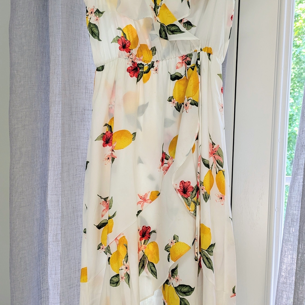 Floral Lemon Print Dress